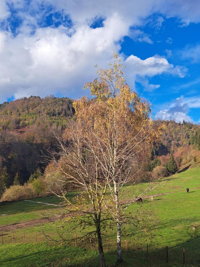Greenriver Apartment Spodnje Gorje Eksteriør billede
