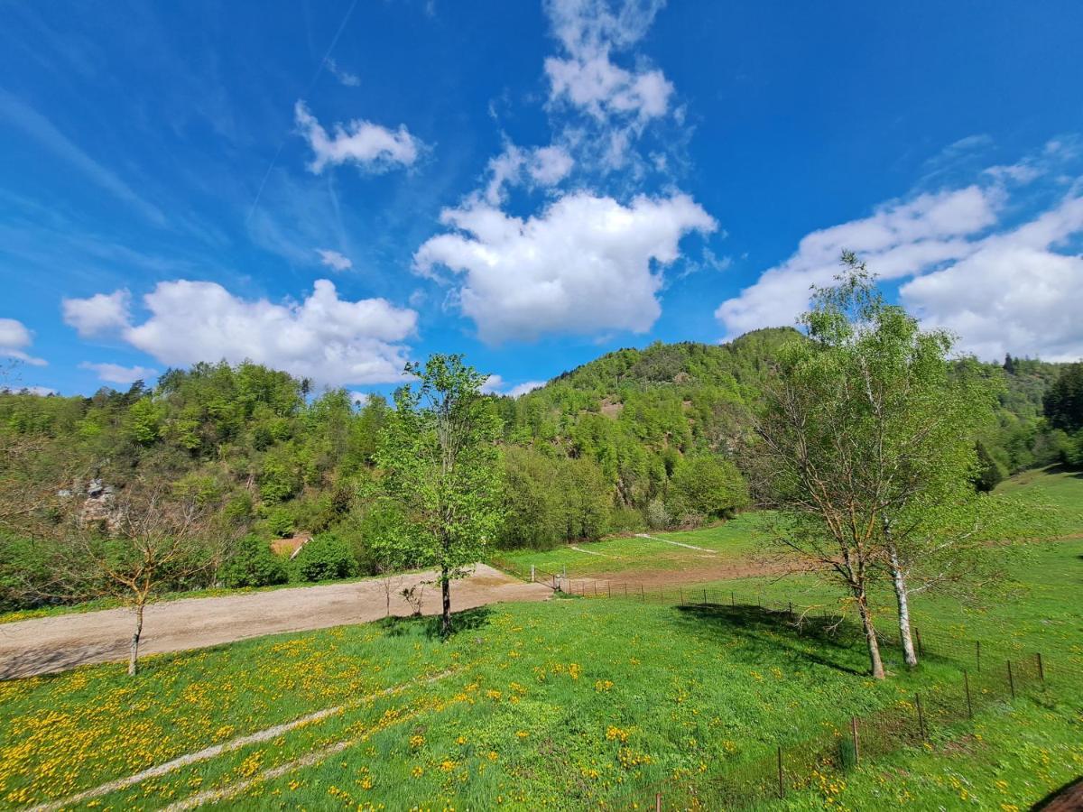 Greenriver Apartment Spodnje Gorje Eksteriør billede