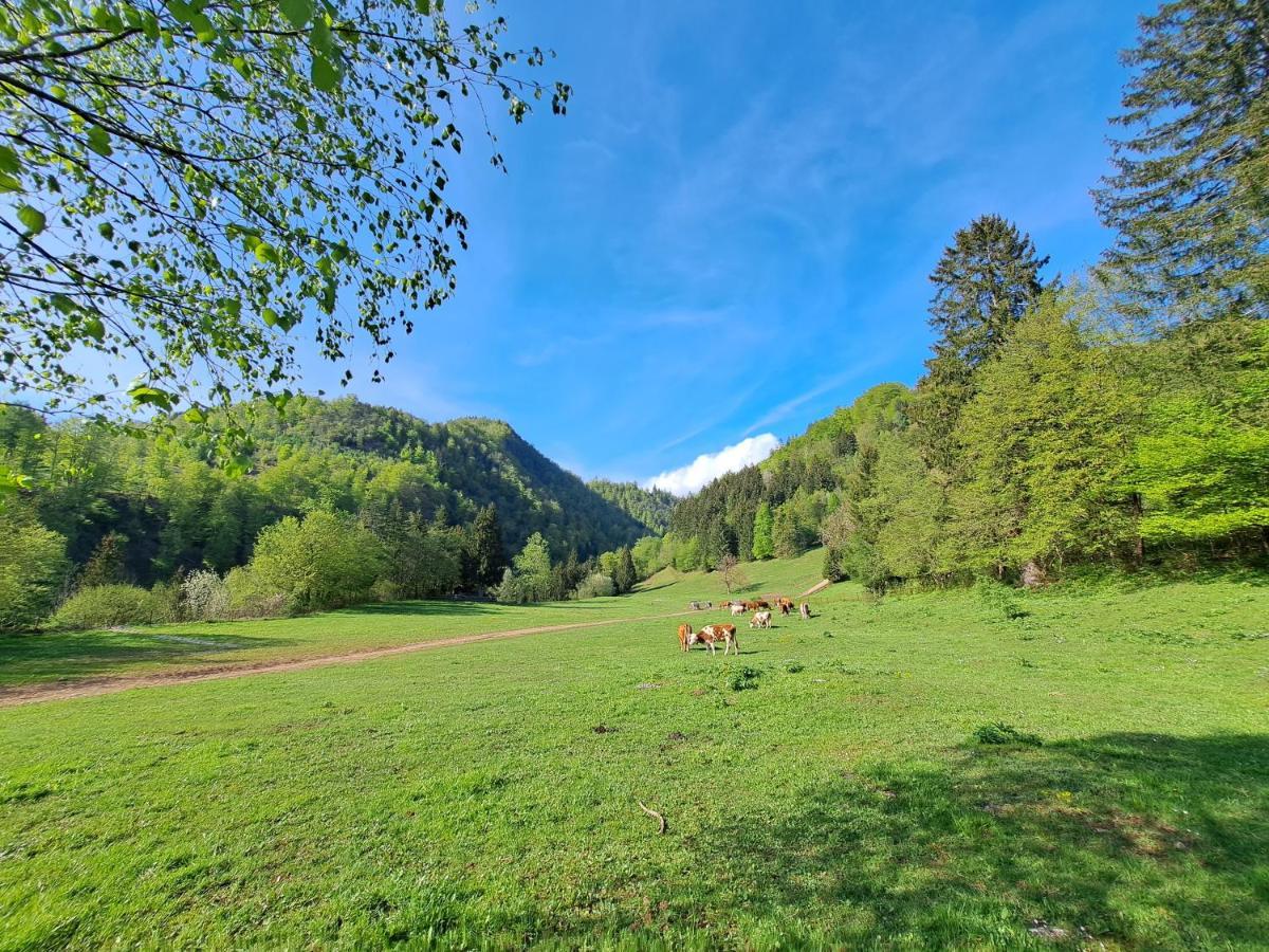 Greenriver Apartment Spodnje Gorje Eksteriør billede